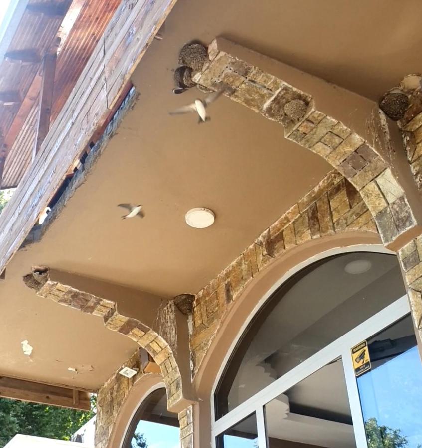 Hotel Piccolino Шкодер Экстерьер фото
